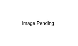 Infernal Akali Model